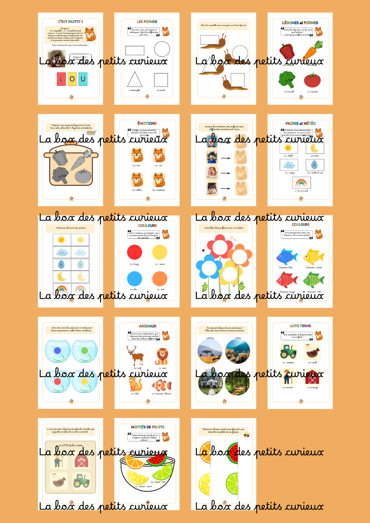 2-3 ANS LIVRET D'ACTIVITES  - Petits Pas vers la Maternelle (Box petits pas vers la maternelle)